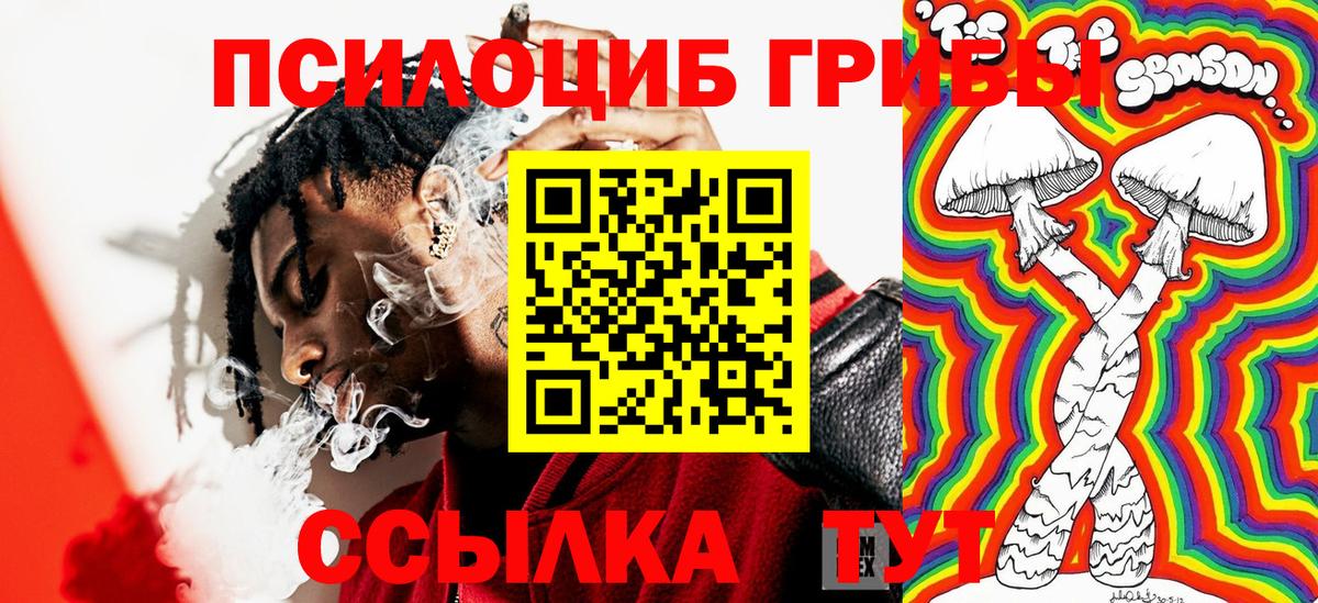 Галлюциногенные грибы Psilocybe  Вход с VPN  Ишим 